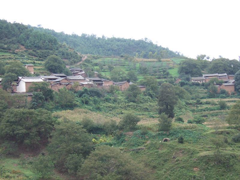 尖峰村(雲南賓川縣金牛鎮下轄村)