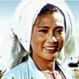 傣族的女兒 傣族的女兒