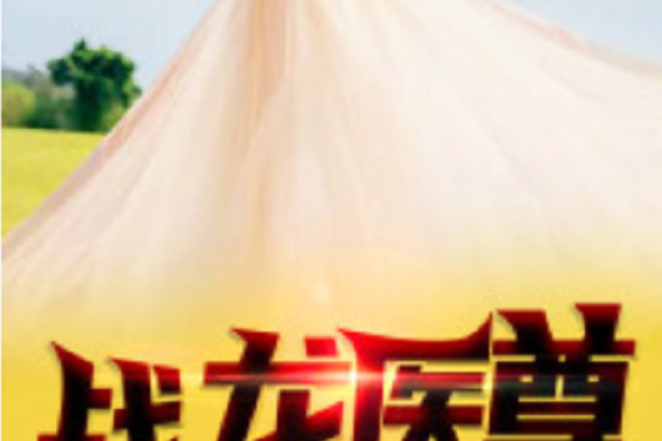 戰龍醫尊 戰龍醫尊