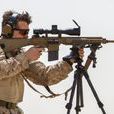 M107(半自動狙擊步槍)