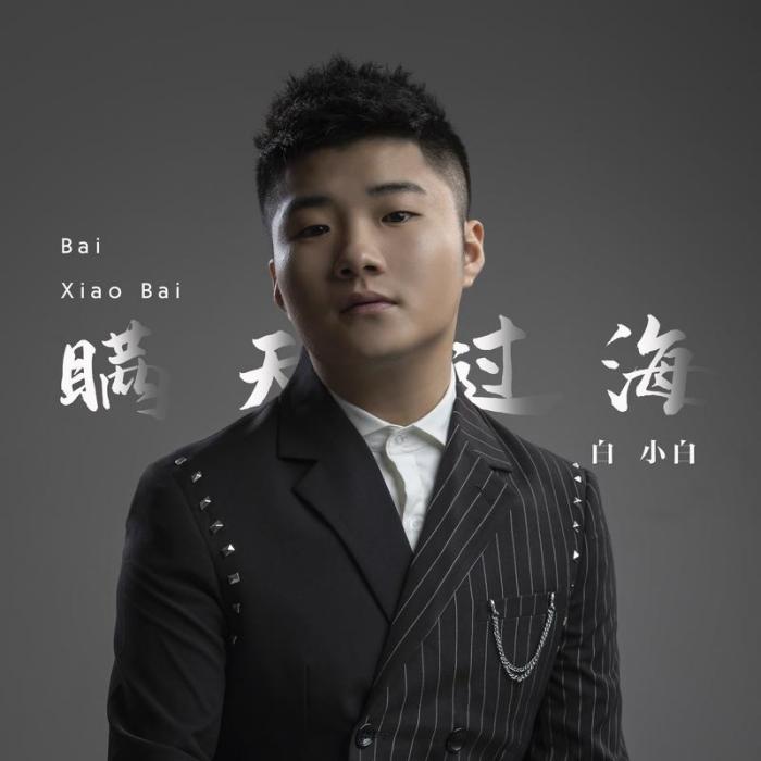 瞞天過海(白小白演唱歌曲) 瞞天過海(白小白演唱歌曲)