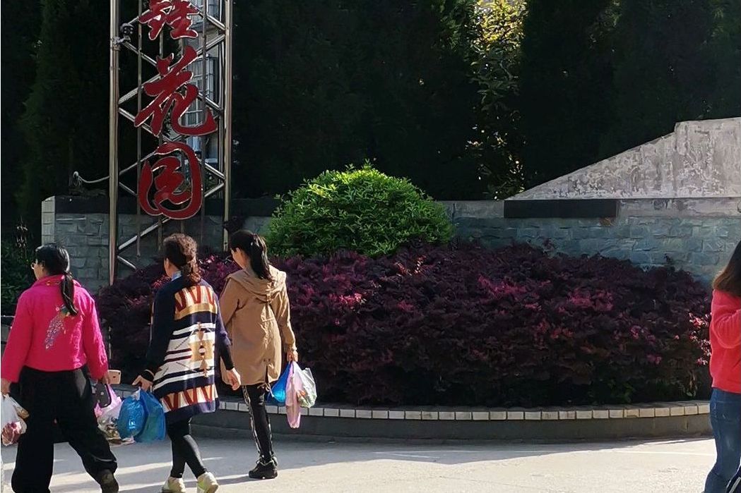 福鑫花園(孝昌縣發展路與昌盛街交匯處的住宅小區) 福鑫花園(孝昌縣發展路與昌盛街交匯處的住宅小區)