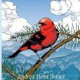 A Tanager\x27s Tale A Tanager\x27s Tale