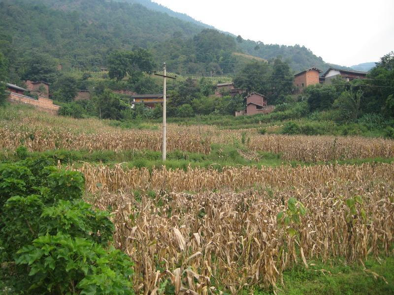 蘇家哨村 蘇家哨村