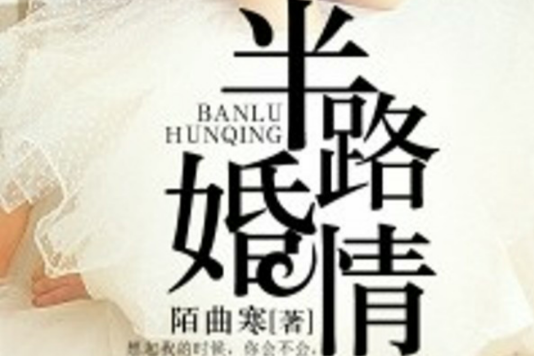 半路婚情 半路婚情