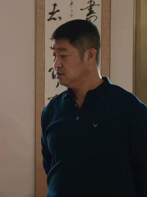 李文才(鄉村輕喜劇《鄉村愛情16》中的角色) 李文才(鄉村輕喜劇《鄉村愛情16》中的角色)