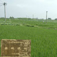 固城遺址 固城遺址