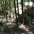 油房村(雲南昭通市大關縣翠華鎮下轄村) 油房村(雲南昭通市大關縣翠華鎮下轄村)
