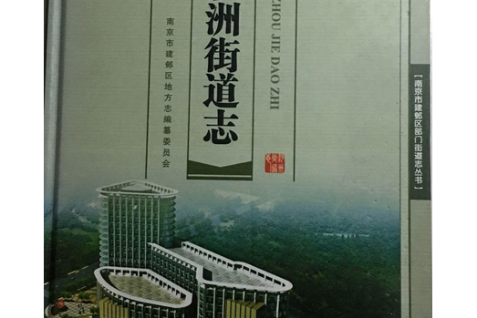 沙洲街道志 沙洲街道志