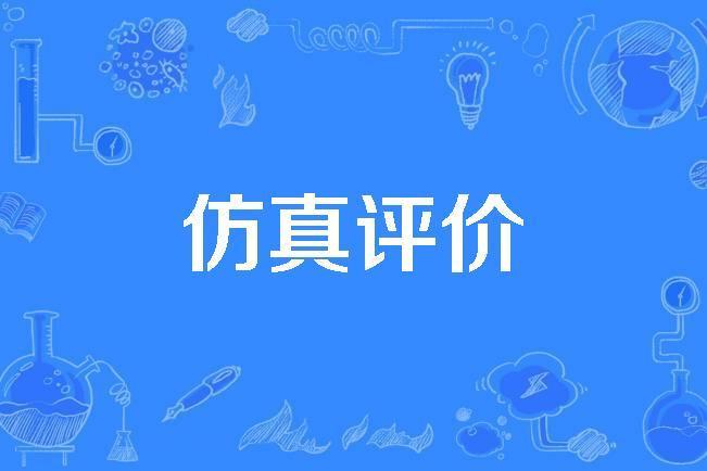 仿真評價 仿真評價