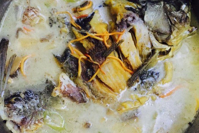 蘑菇鯽魚 蘑菇鯽魚