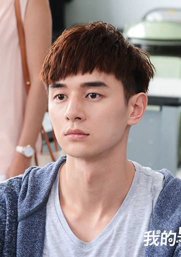 我的男孩(2017年林心如、張軒睿主演電視劇)