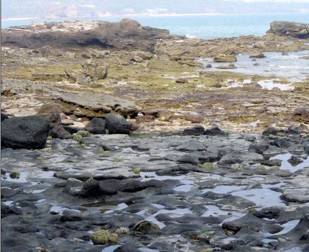 海積階地 海積階地