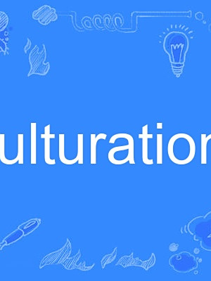 acculturationist