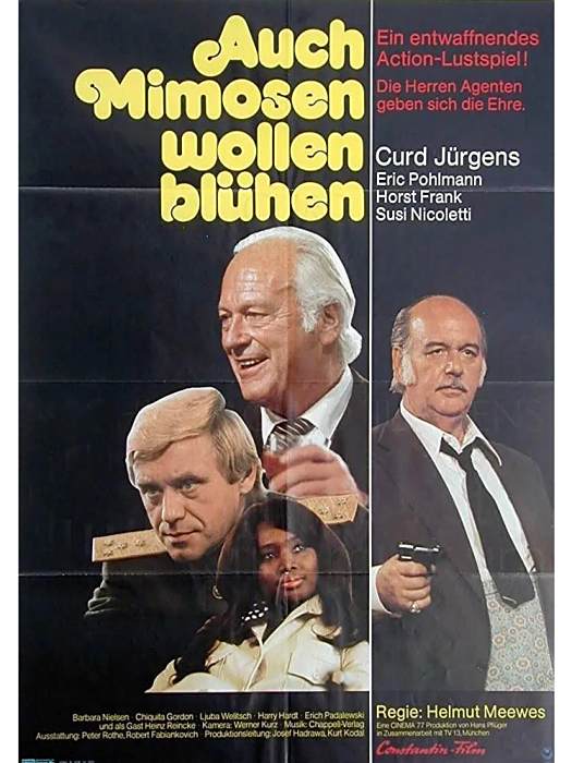 Auch Mimosen wollen blühen Auch Mimosen wollen blühen