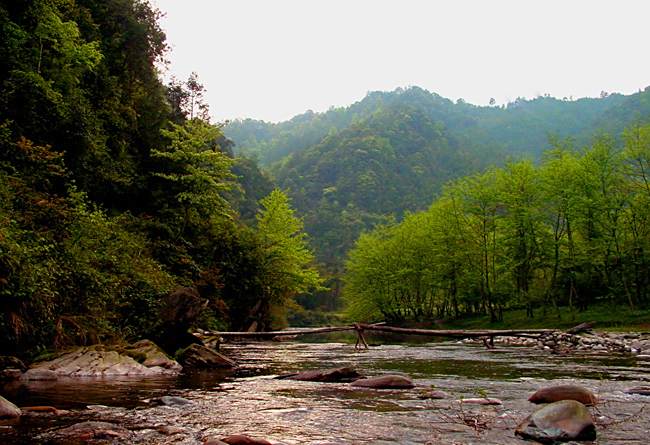 下黑灣村 下黑灣村