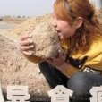 異食症 異食症