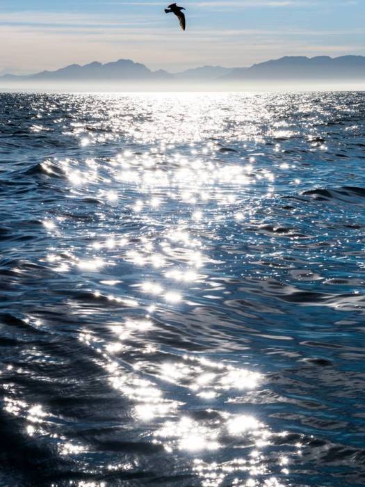 海面閃耀