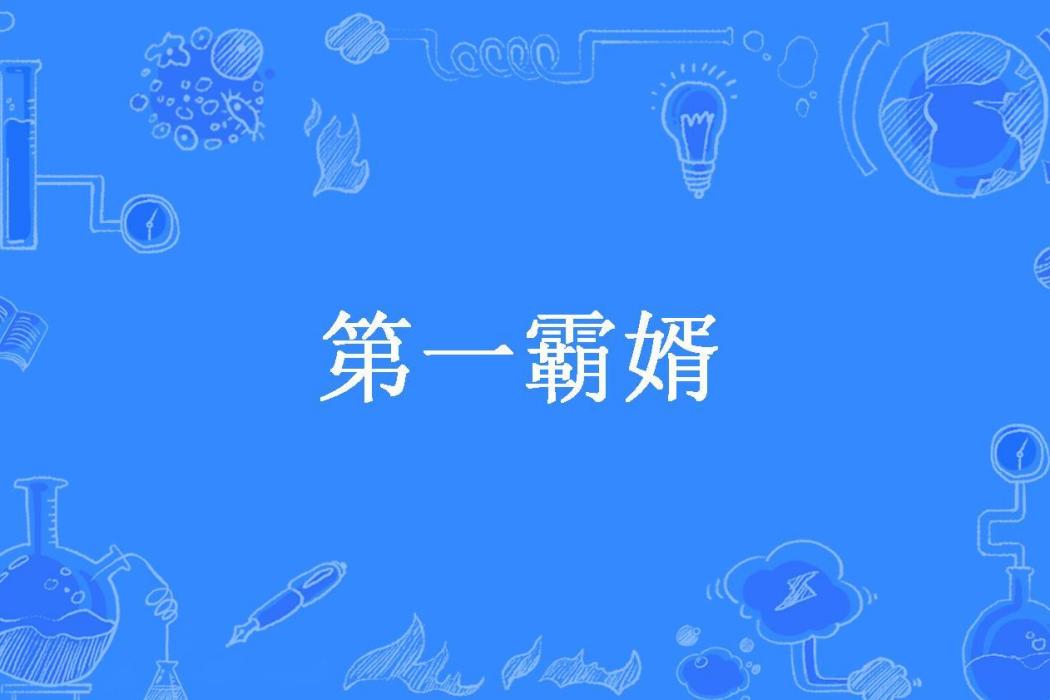 第一霸婿(明月清風所著小說) 第一霸婿(明月清風所著小說)