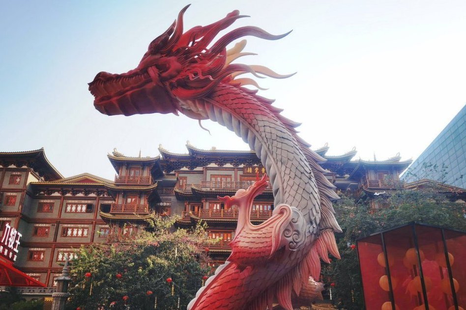 飛龍世界 飛龍世界