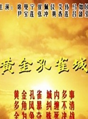 崔佩儀