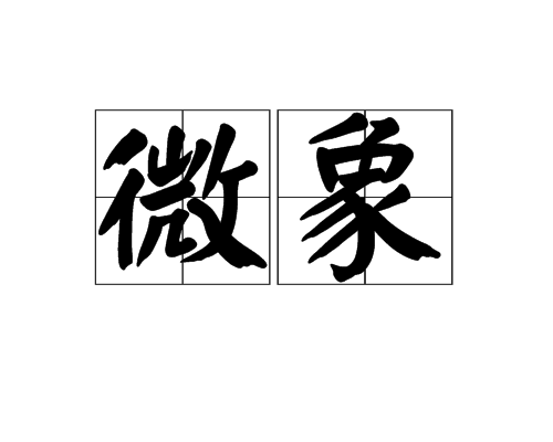 微象(漢語詞語) 微象(漢語詞語)
