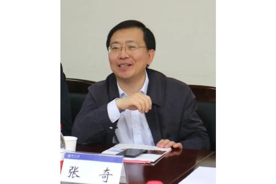 張奇(建設銀行非執行董事) 張奇(建設銀行非執行董事)