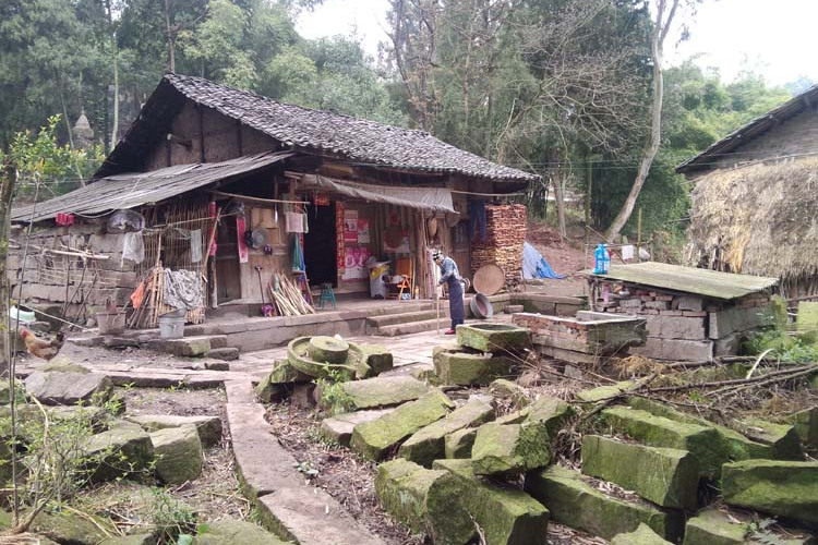 稻糧村 稻糧村