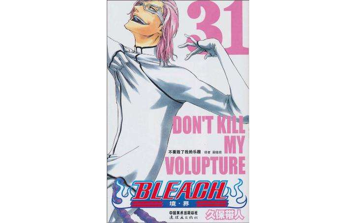 BLEACH 境·界31(境·界31)