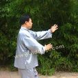 手揮琵琶 手揮琵琶