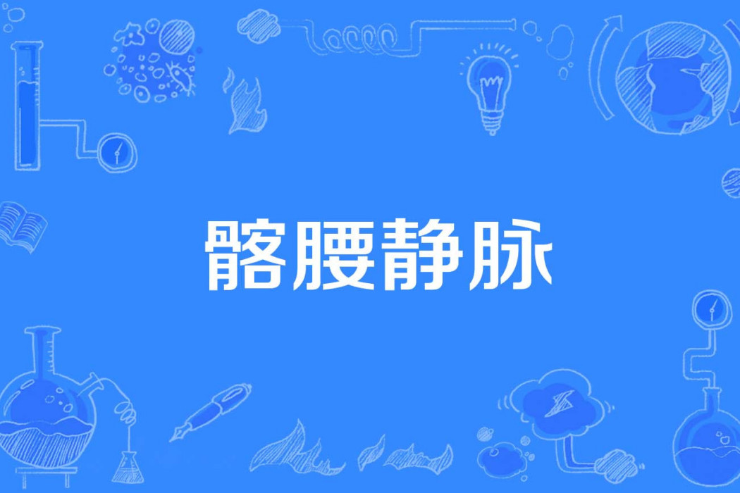 髂腰靜脈 髂腰靜脈