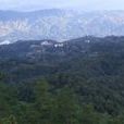 油松嶺鄉