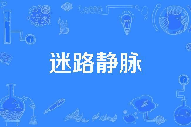 迷路靜脈 迷路靜脈