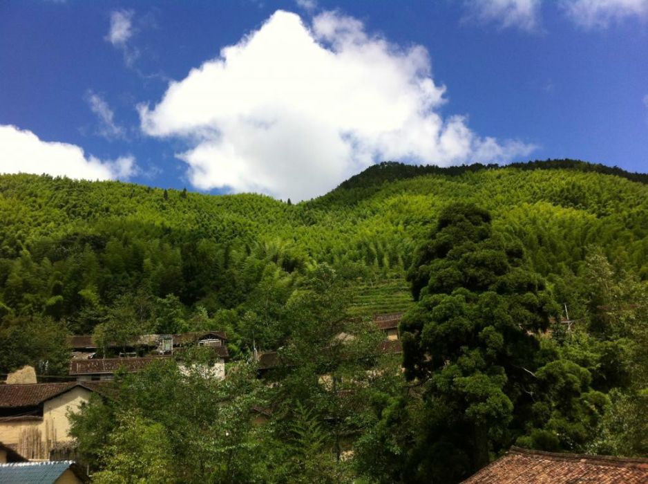黃水岙村 黃水岙村