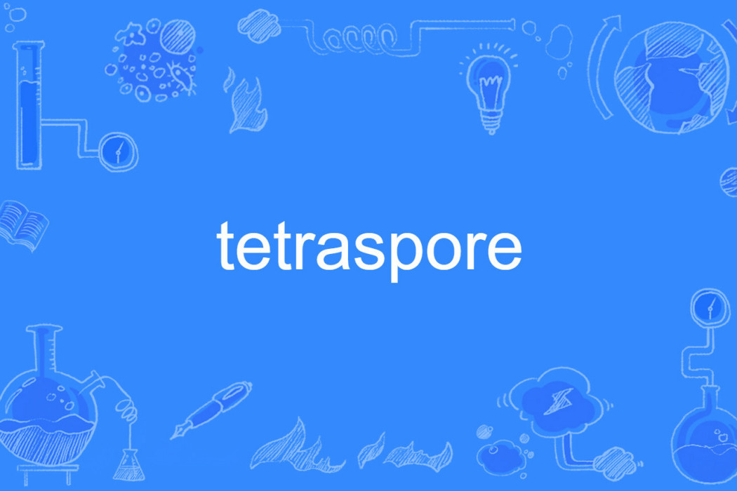 tetraspore tetraspore