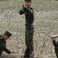 12·27朝鮮逃兵越境槍殺中國人事件