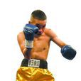 李嘉林(拳擊運動員) 李嘉林(拳擊運動員)