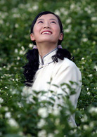 茉莉花(2005年陳道明主演電視劇)