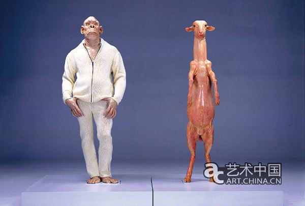 內部表象 內部表象
