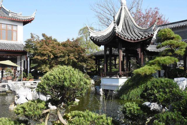 五松園(如皋五松園) 五松園(如皋五松園)