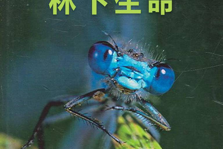 林下生命