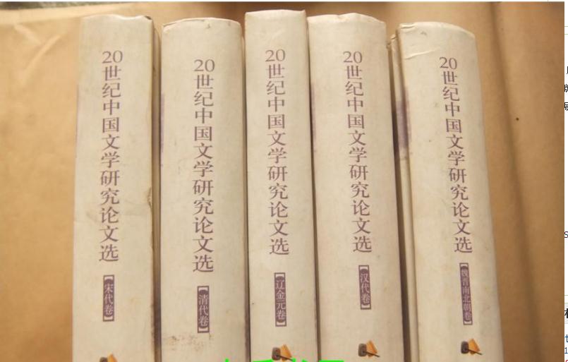20世紀中國文學研究論文選（10卷本）
