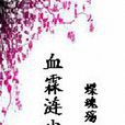 血霖漣塵 血霖漣塵
