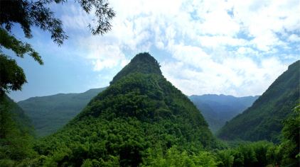 貴州赤水竹海國家森林公園