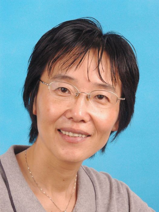 殷保璞 殷保璞