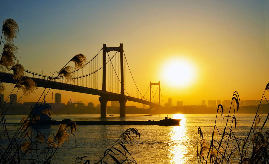 夕陽下的鸚鵡洲長江大橋