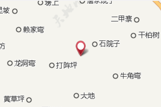 叢木大隊 叢木大隊