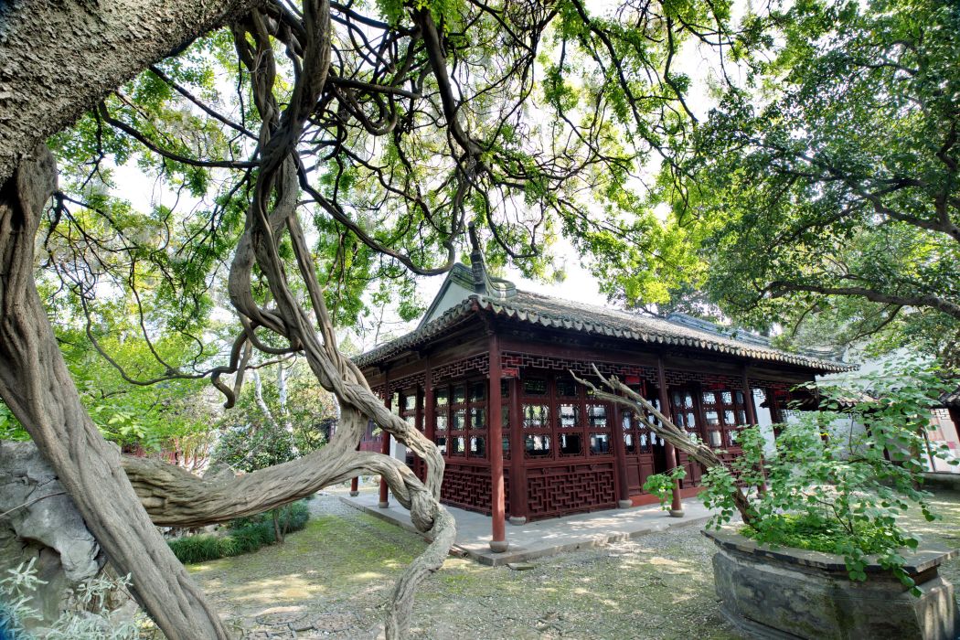 鶴園 鶴園
