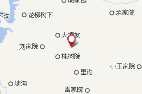 鳳梨石 鳳梨石