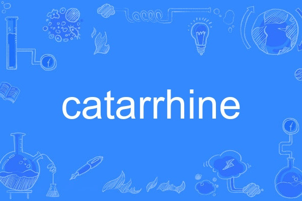 catarrhine catarrhine